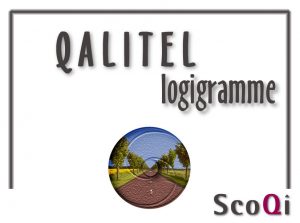 Lire la suite à propos de l’article QALITEL logigramme – Edition Gratuite