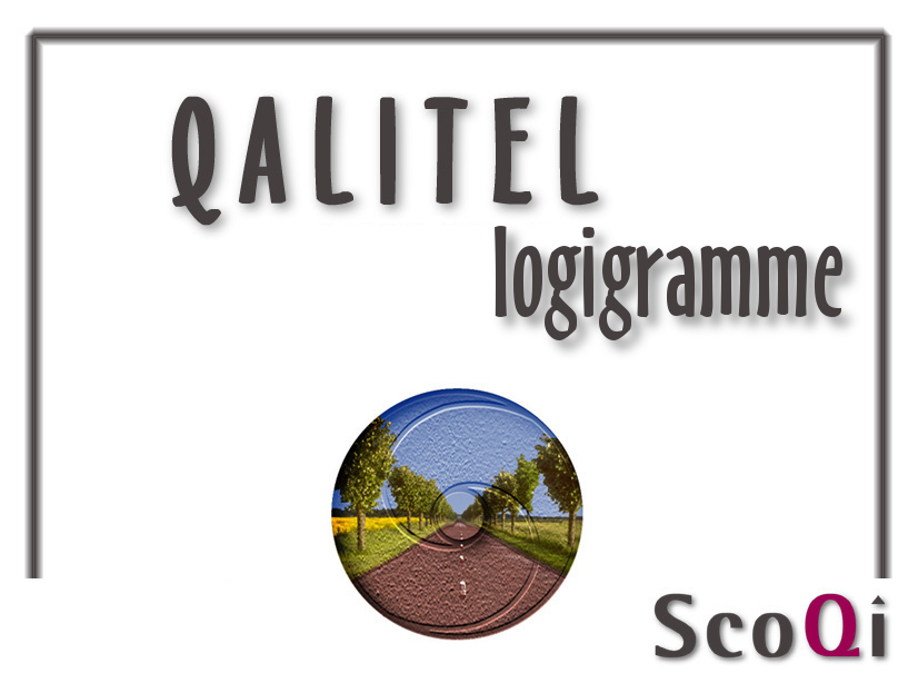 Lire la suite à propos de l’article QALITEL logigramme – Edition Gratuite