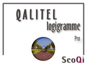 Lire la suite à propos de l’article QALITEL logigramme – Edition Pro au prix de 49 €