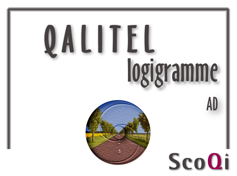 qalitel logigramme logiciel qualite edition standard. Votre logigramme, organigramme, diagramme, flowchart en version standard